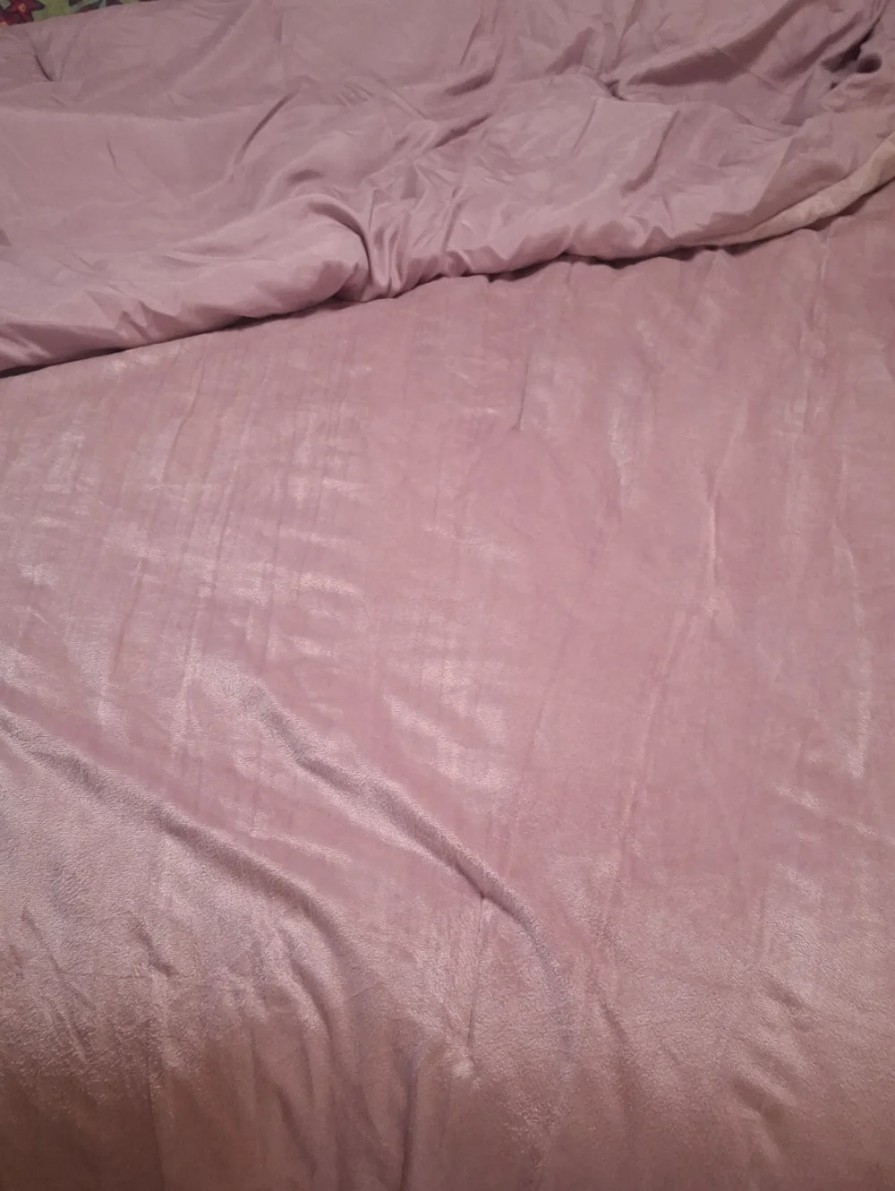 Tahari Blush Pink Plush Comforter